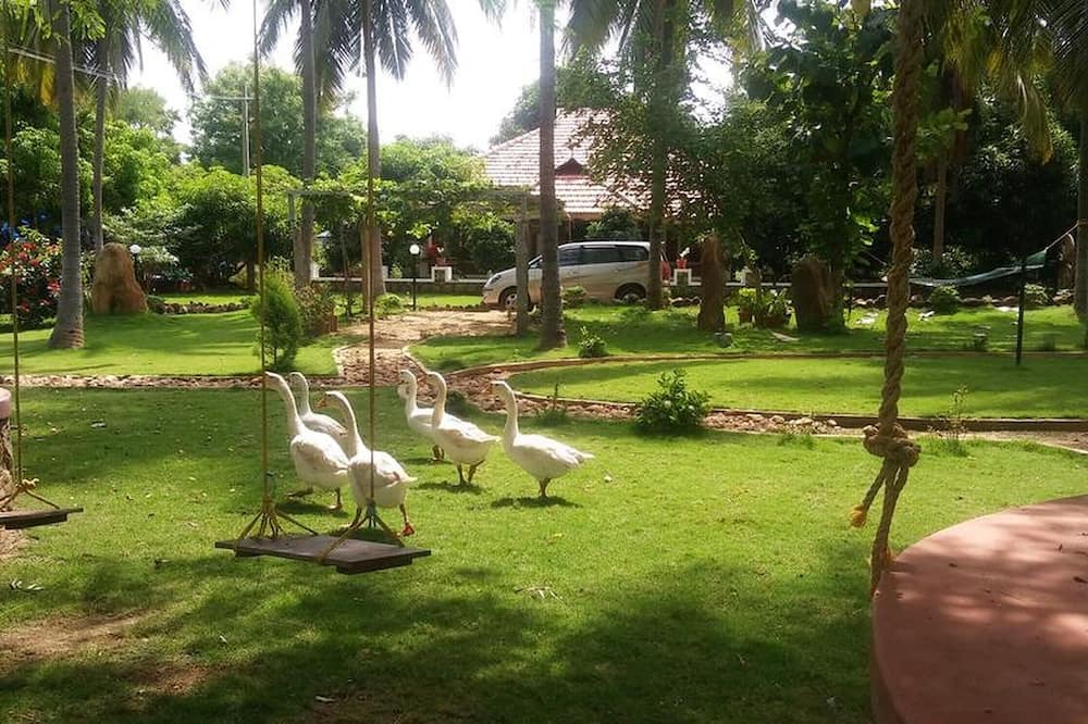 Photo of Outdoor in Chittur