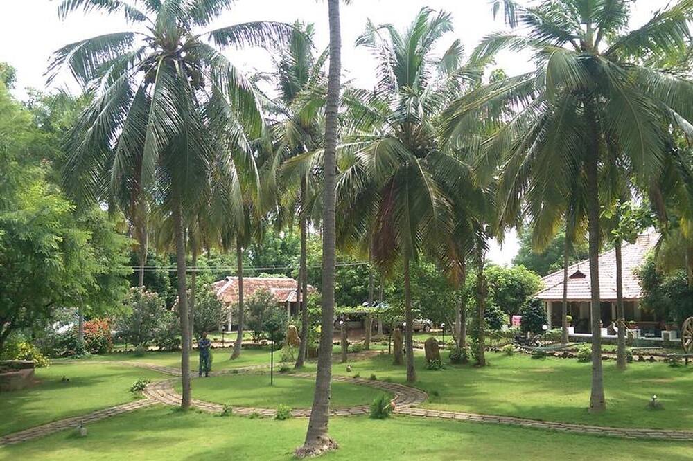 Photo of Outdoor in Chittur