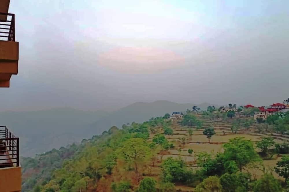 Photo of Others in Kumarhatti