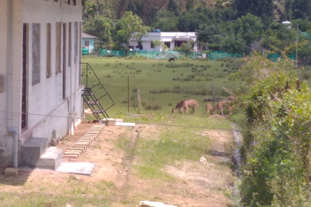 Photo of Outdoor in Naduvattam