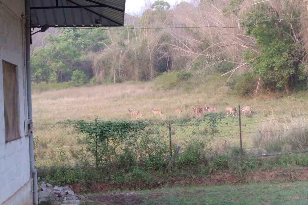 Photo of Outdoor in Naduvattam