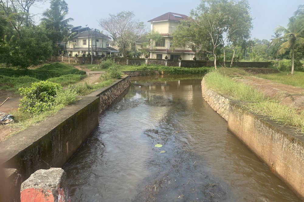 Photo of Others in Kannur