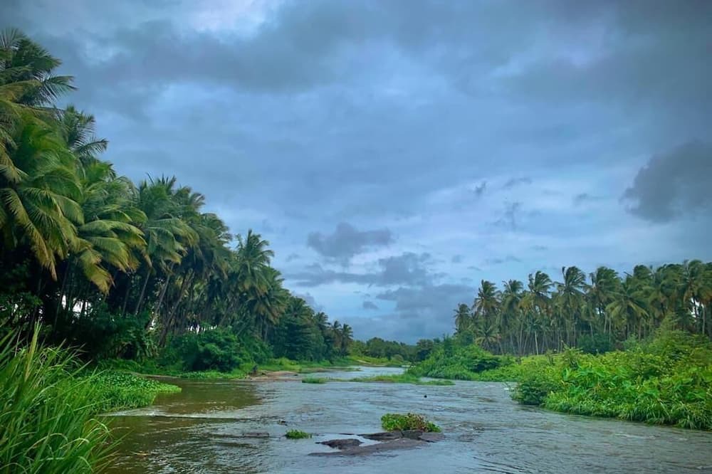 Photo of Others in Anaimalai