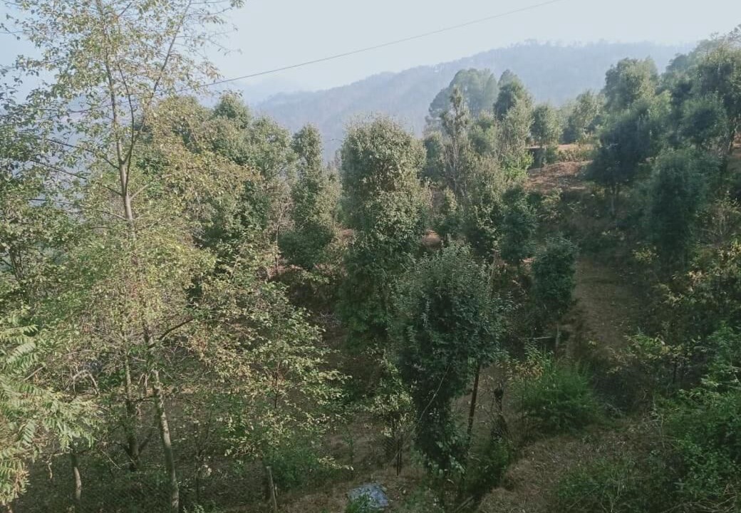 Photo of Patio Balcony in Kausani