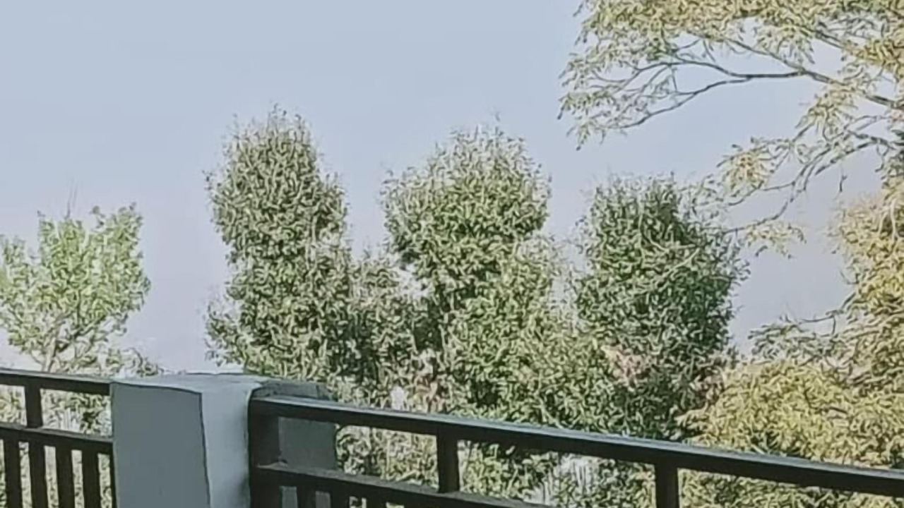 Photo of Patio Balcony in Kausani