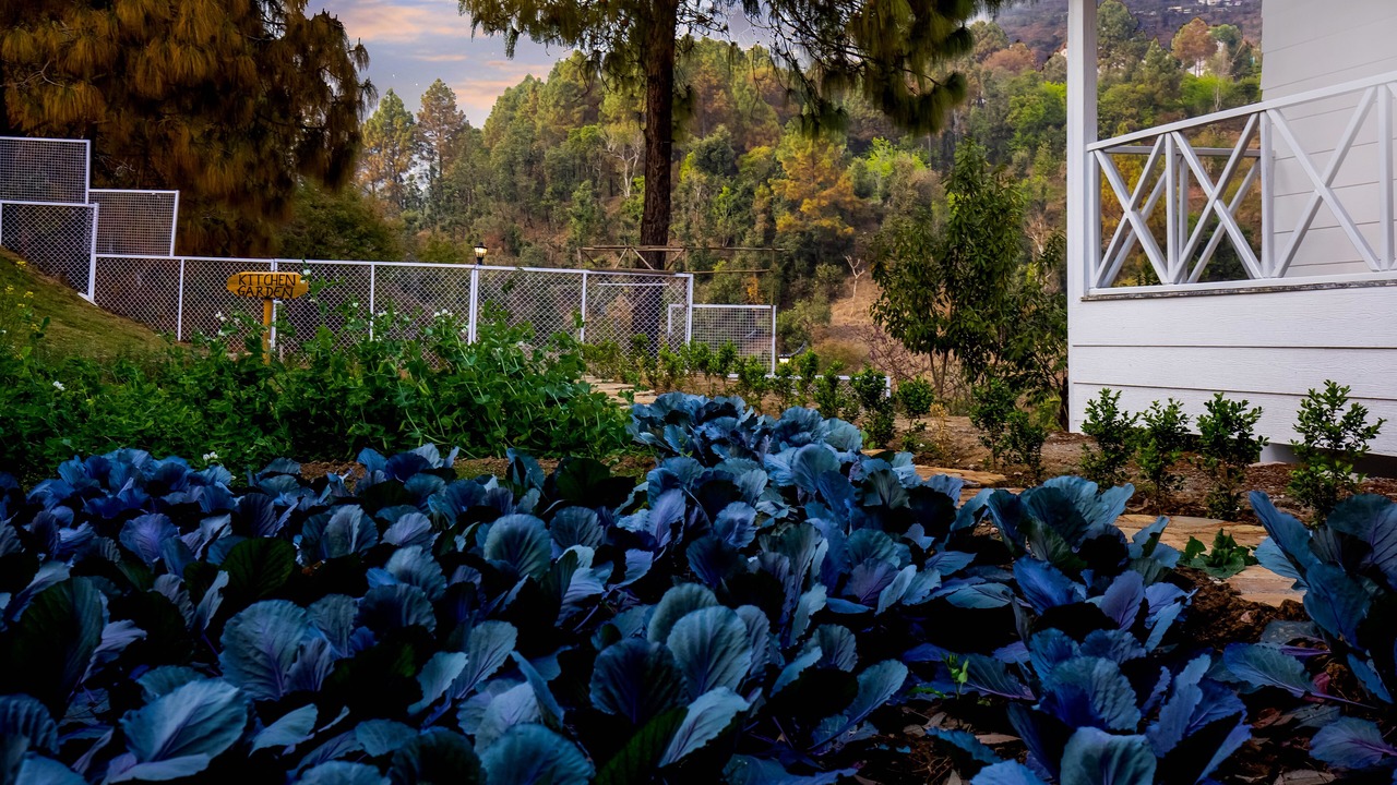 Photo of Outdoor in Bhagtpura
