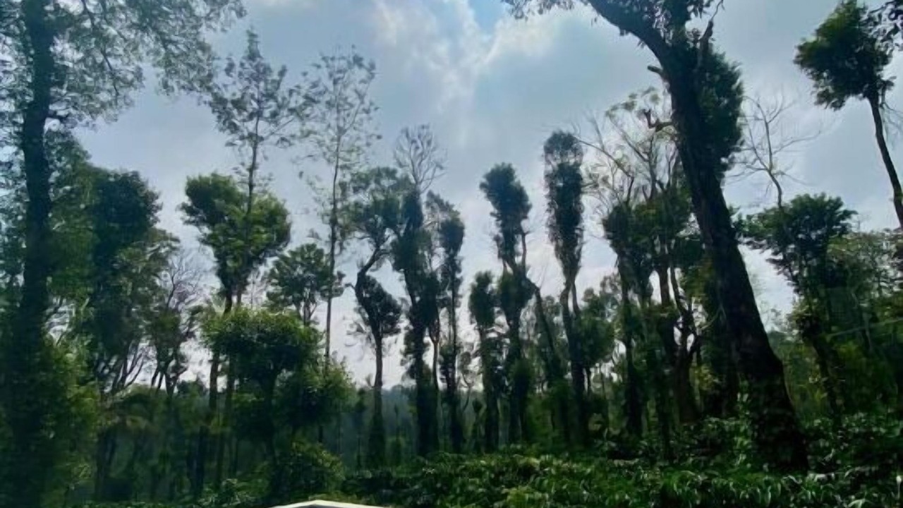 Photo of Outdoor in Srimangla