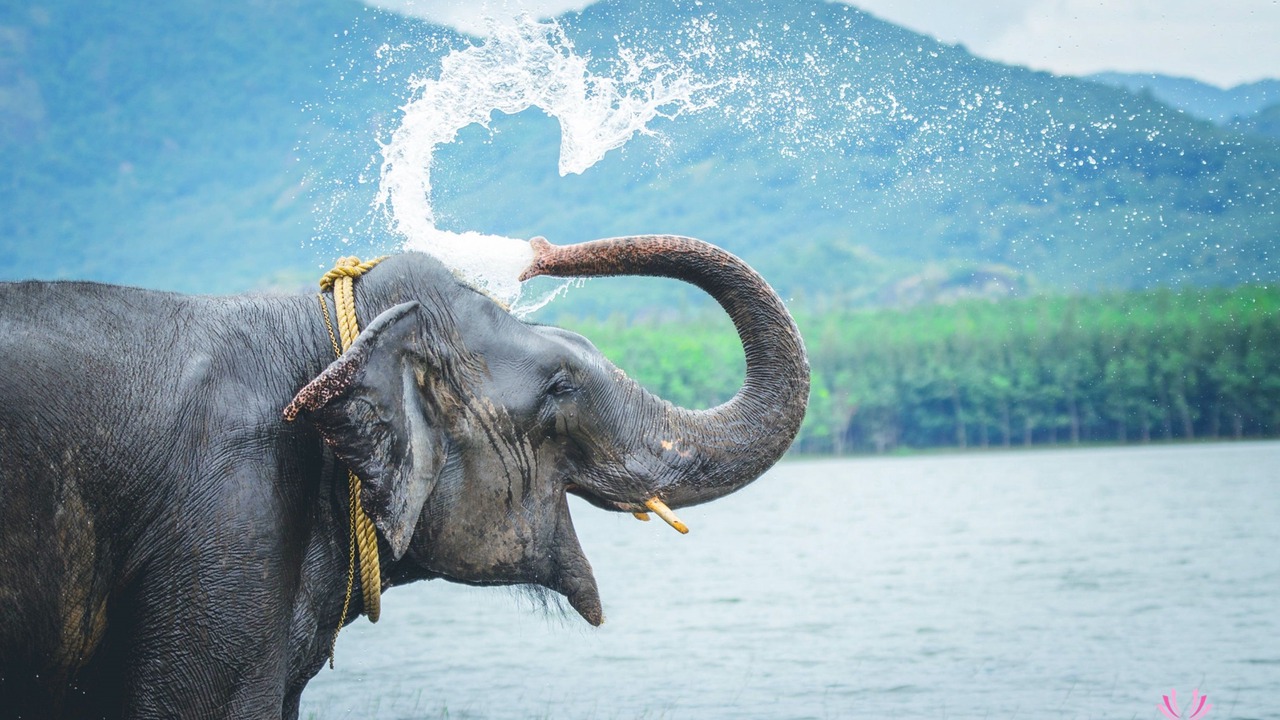 Photo of Outdoor in Chittar Lake