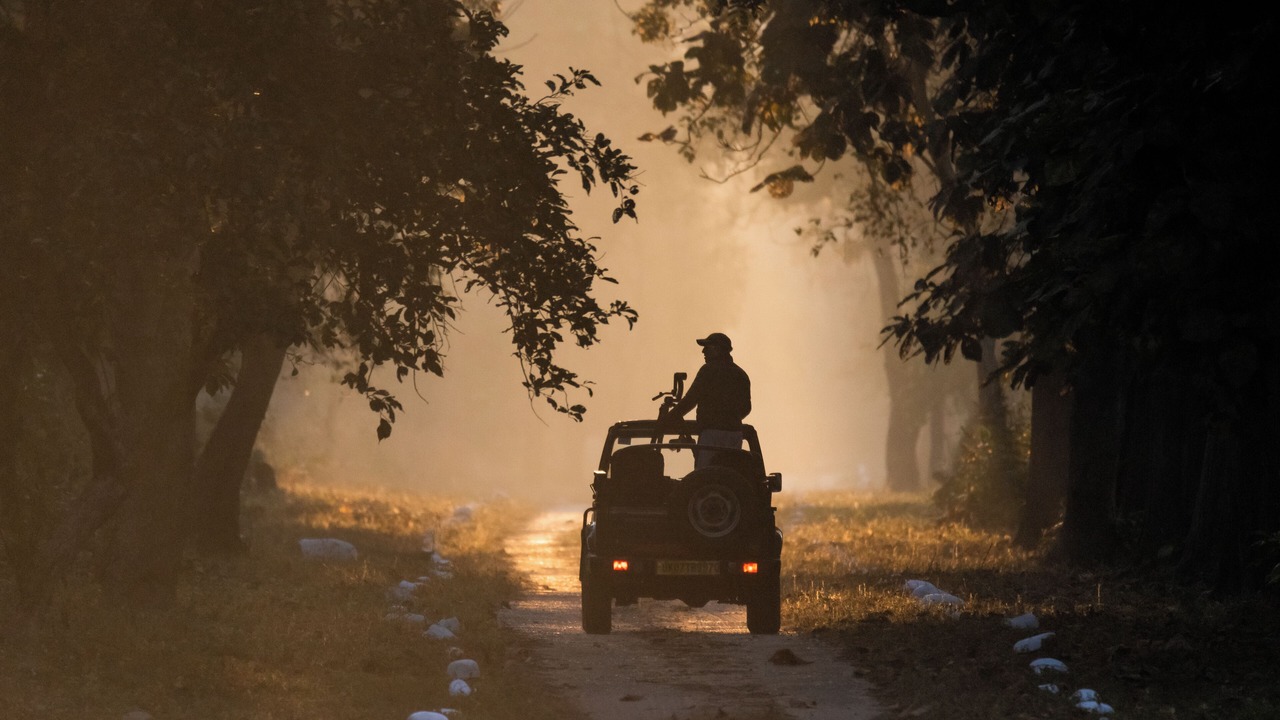 Photo of Others in Roorkee