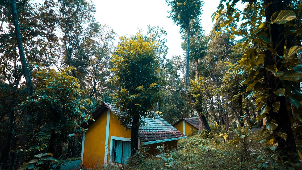 Photo of Outdoor in Chaudi