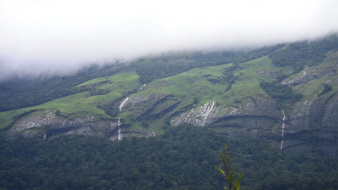 Photo of Outdoor in Devikolam