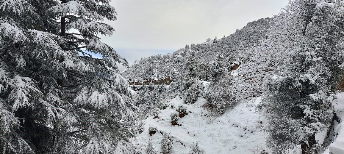 Photo of Outdoor in Tehri Range