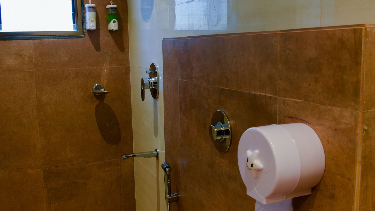 Photo of Bathroom in Devbag