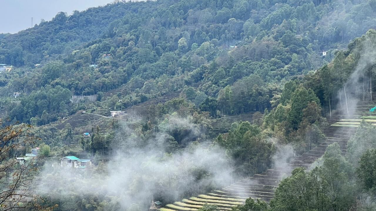 Photo of Outdoor in Rumtek