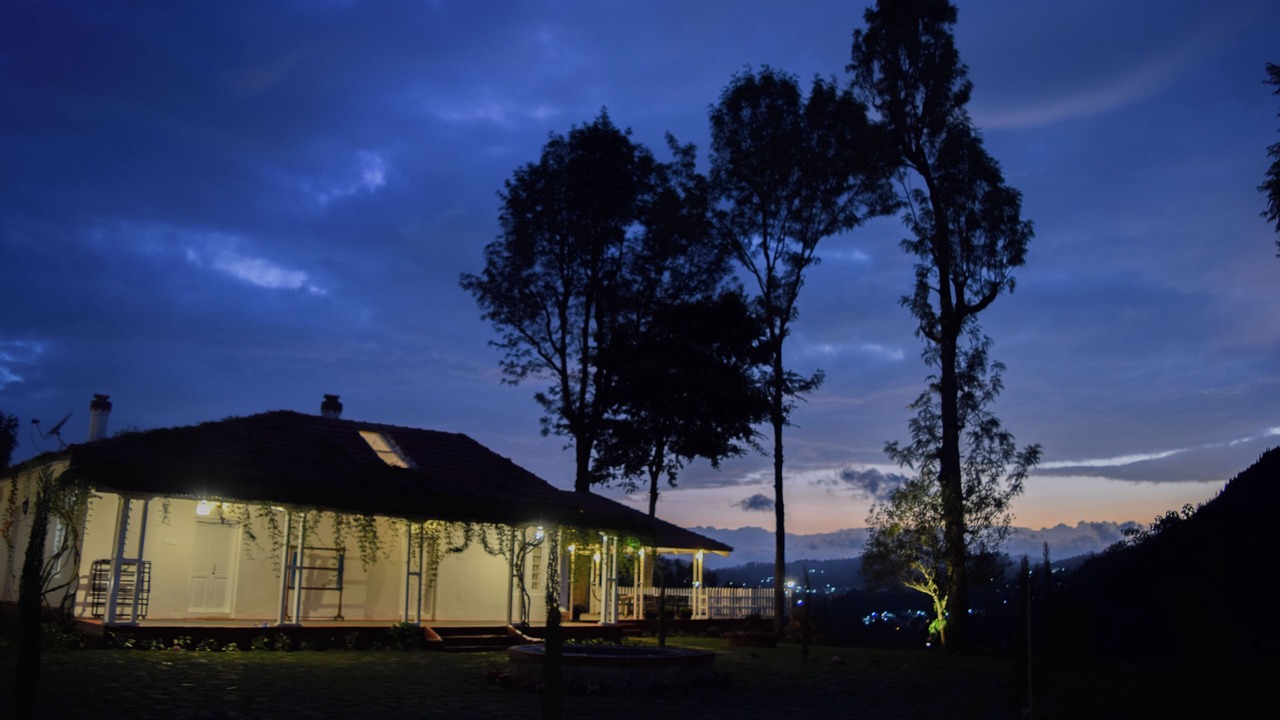 Photo of Outdoor in Wellington