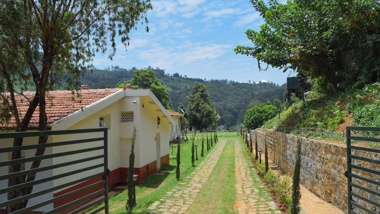 Photo of Outdoor in Wellington