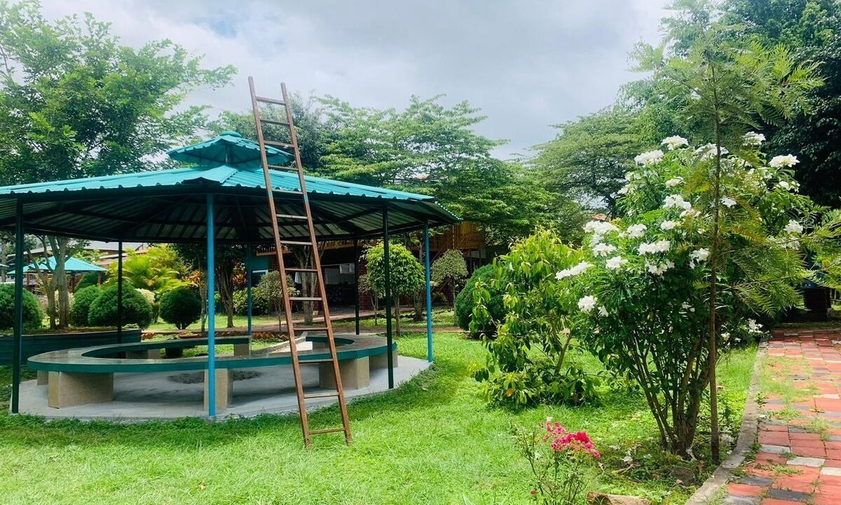 Photo of Outdoor in Masinagudi