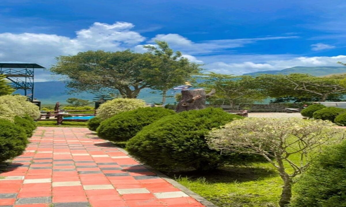 Photo of Outdoor in Masinagudi