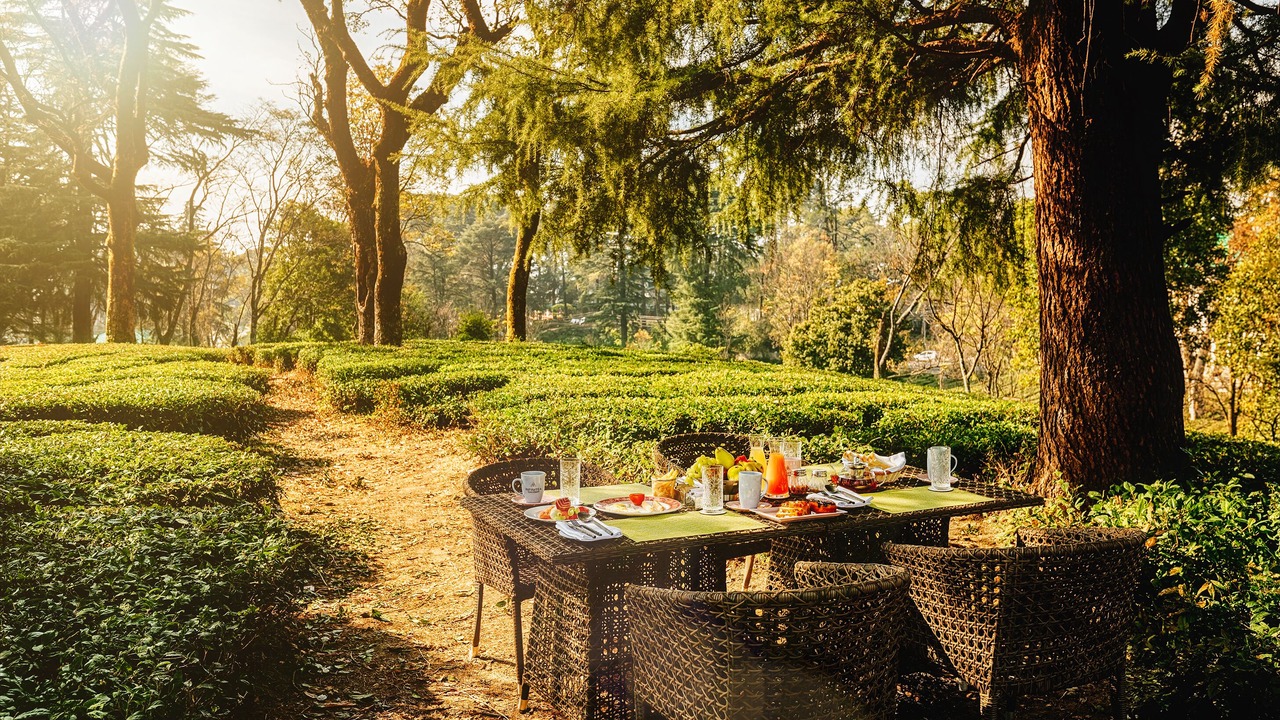 Photo of Outdoor in Palampur