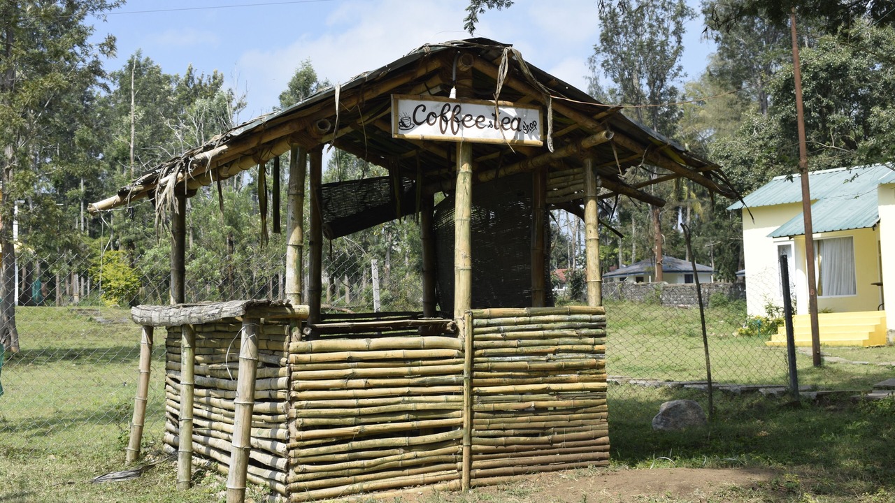 Photo of Outdoor in Masinagudi