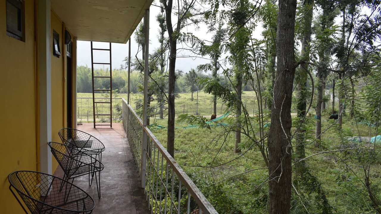 Photo of Bedroom in Masinagudi