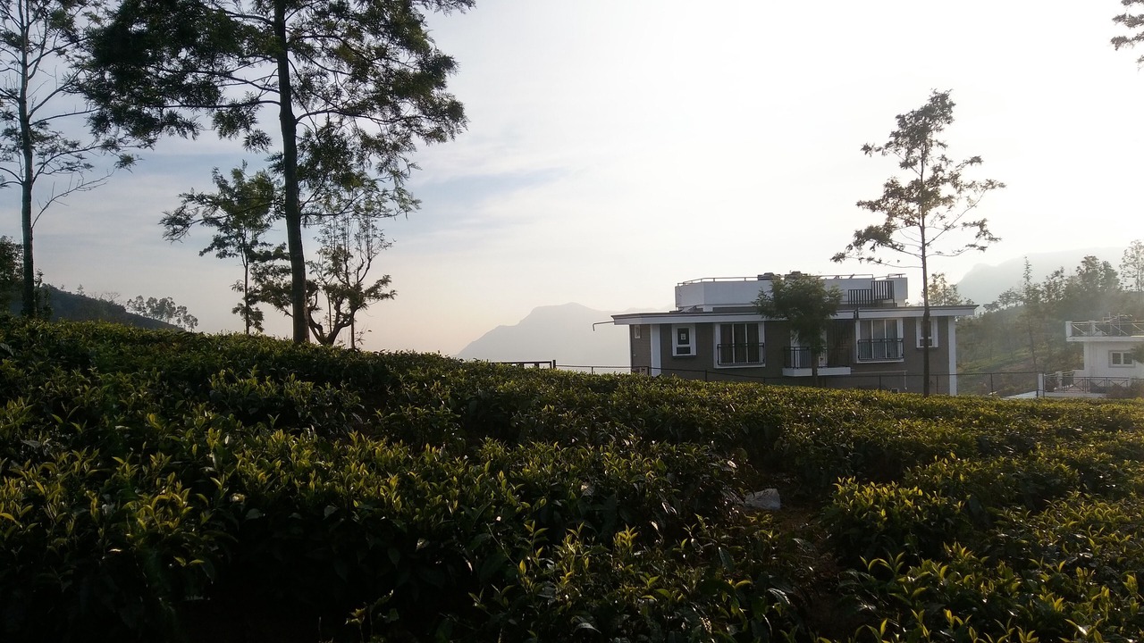 Photo of Outdoor in Kotagiri
