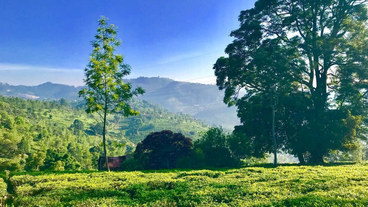 Photo of Outdoor in Kotagiri