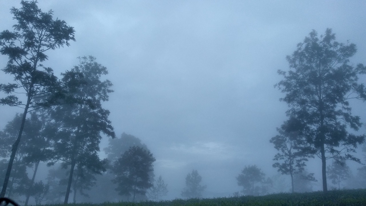 Photo of Others in Kotagiri