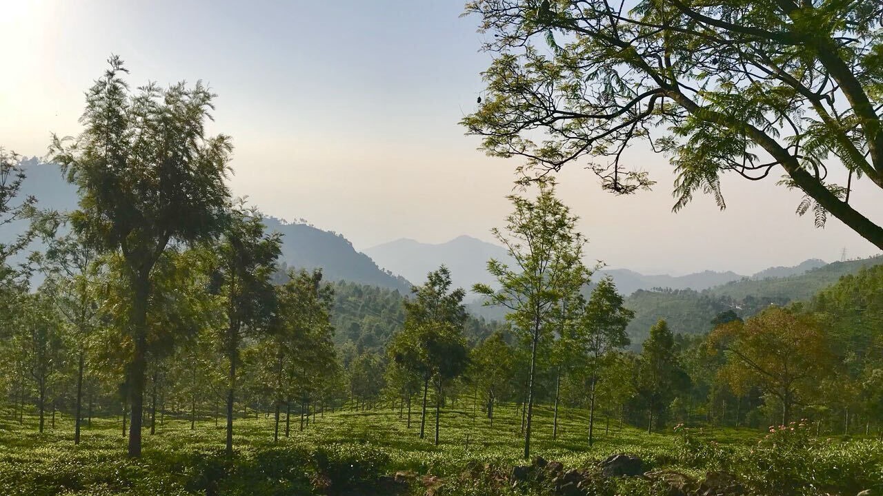Photo of Outdoor in Kotagiri
