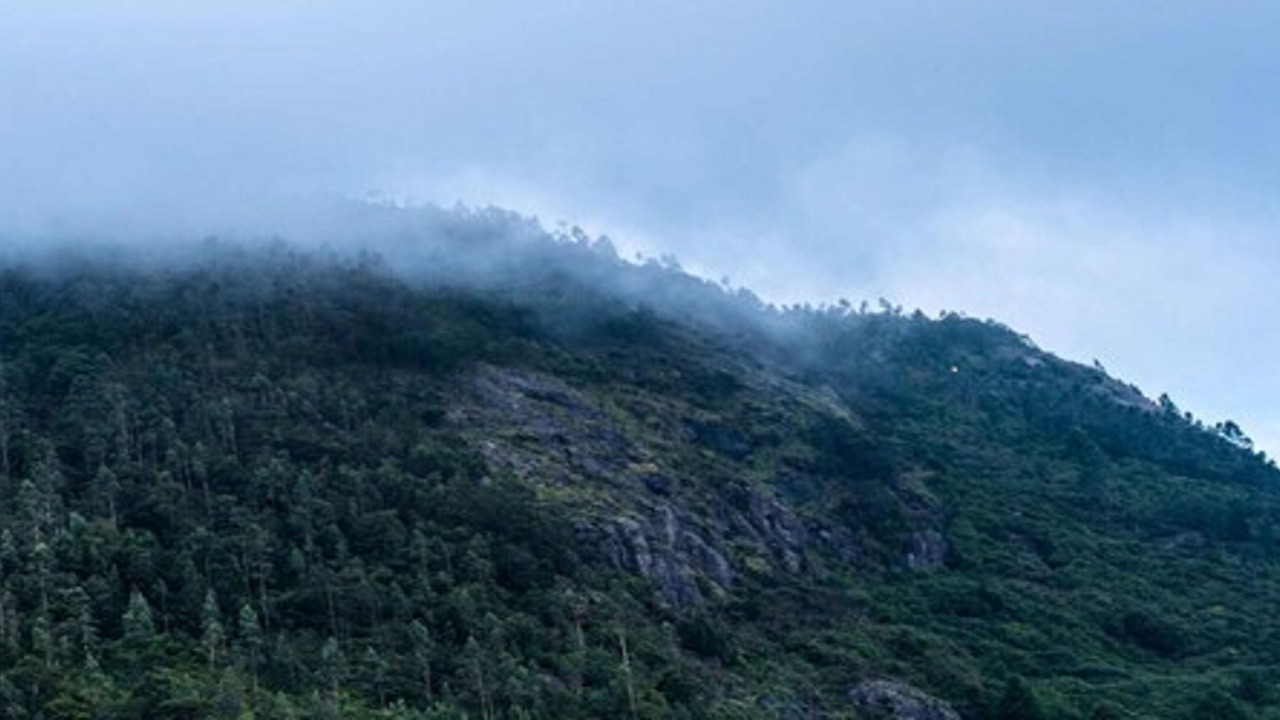Photo of Others in Thalayathimund