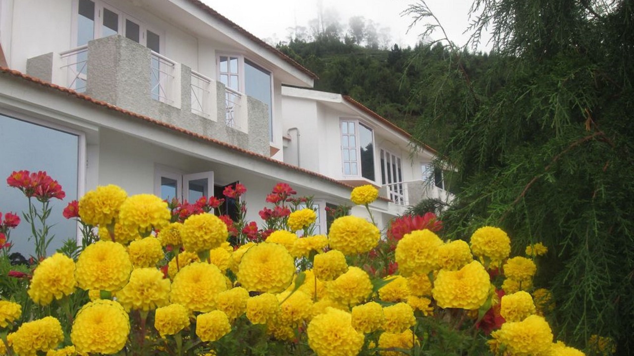 Photo of Outdoor in Kodaikanal