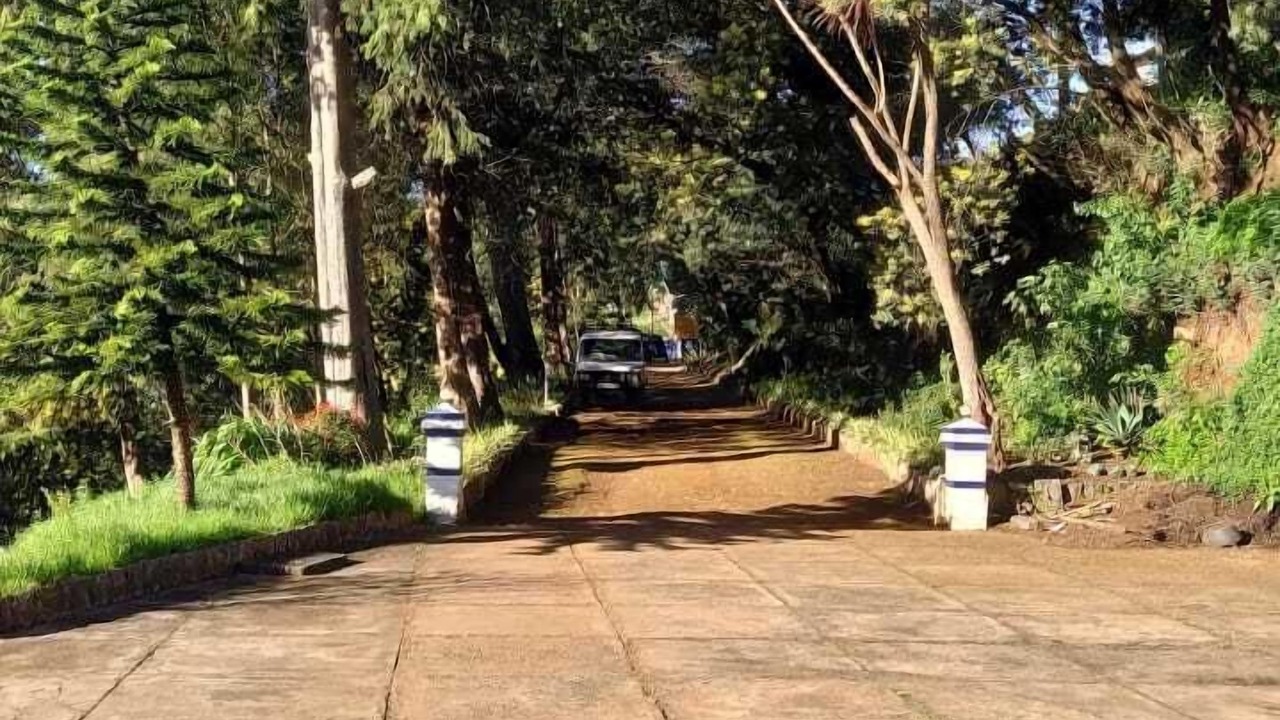 Photo of Outdoor in Ooty
