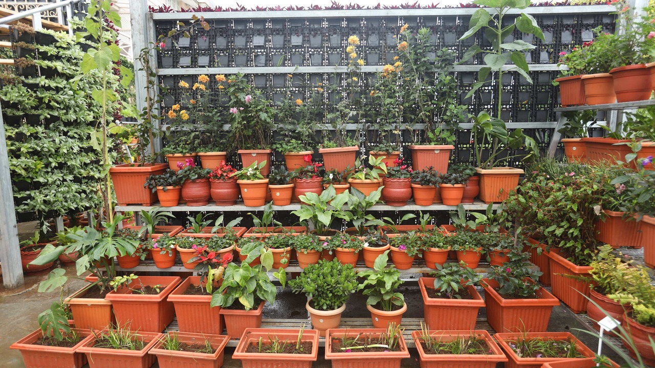Photo of Outdoor in Thalayathimund