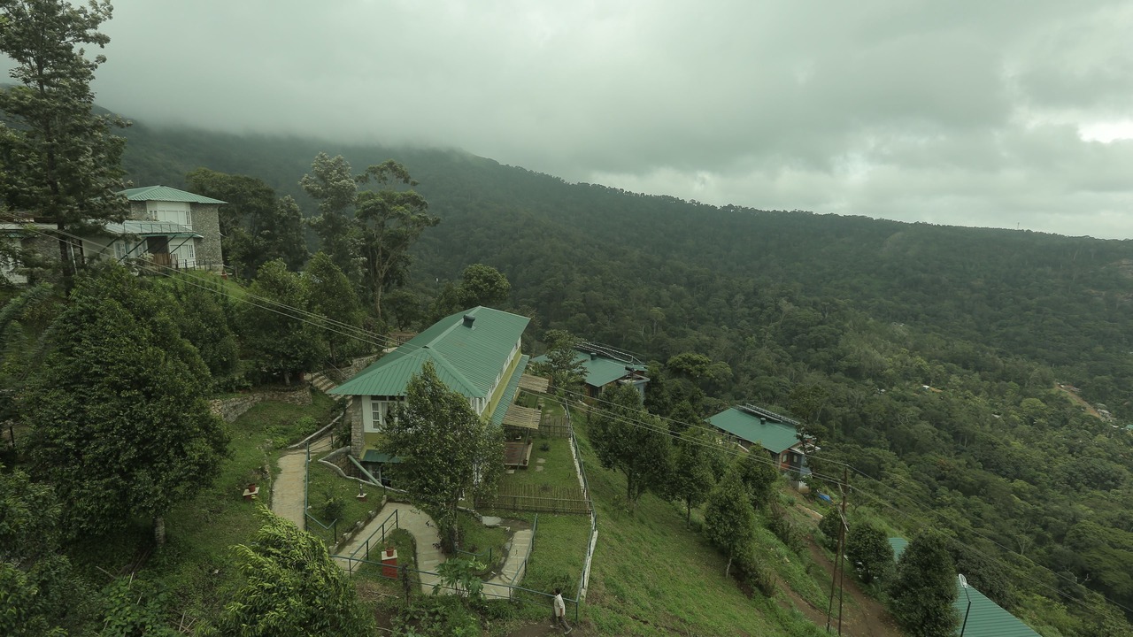 Photo of Outdoor in Udumbanchola