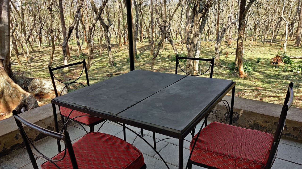 Photo of Bedroom in Masinagudi