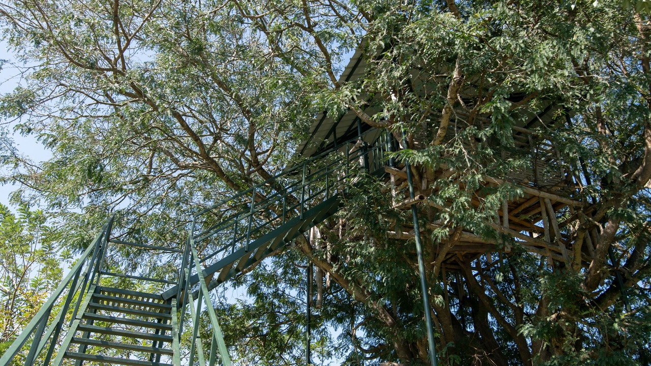 Photo of Outdoor in Masinagudi