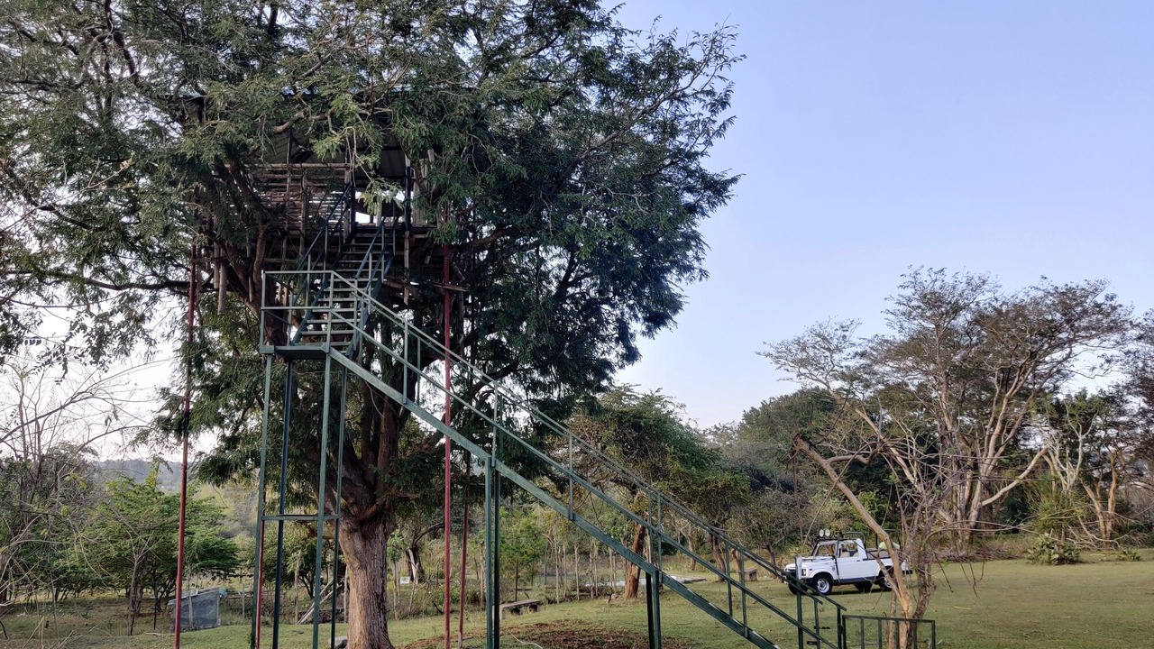Photo of Outdoor in Masinagudi