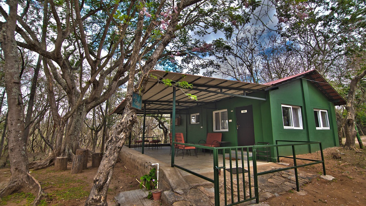 Photo of Outdoor in Masinagudi