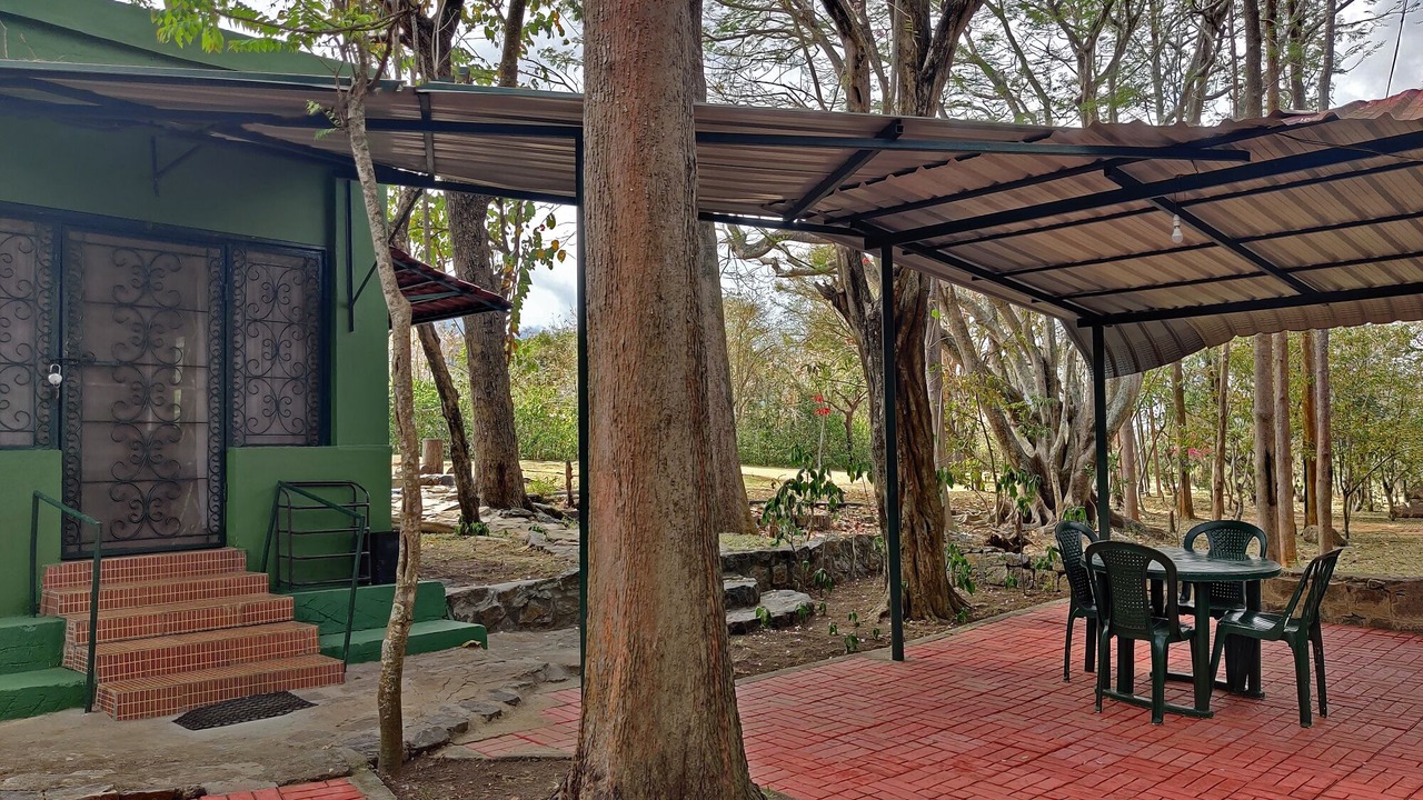 Photo of Bedroom in Masinagudi