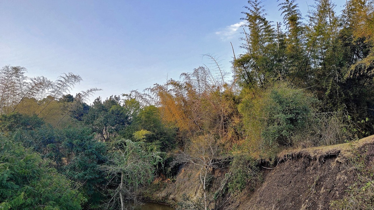 Photo of Outdoor in Masinagudi