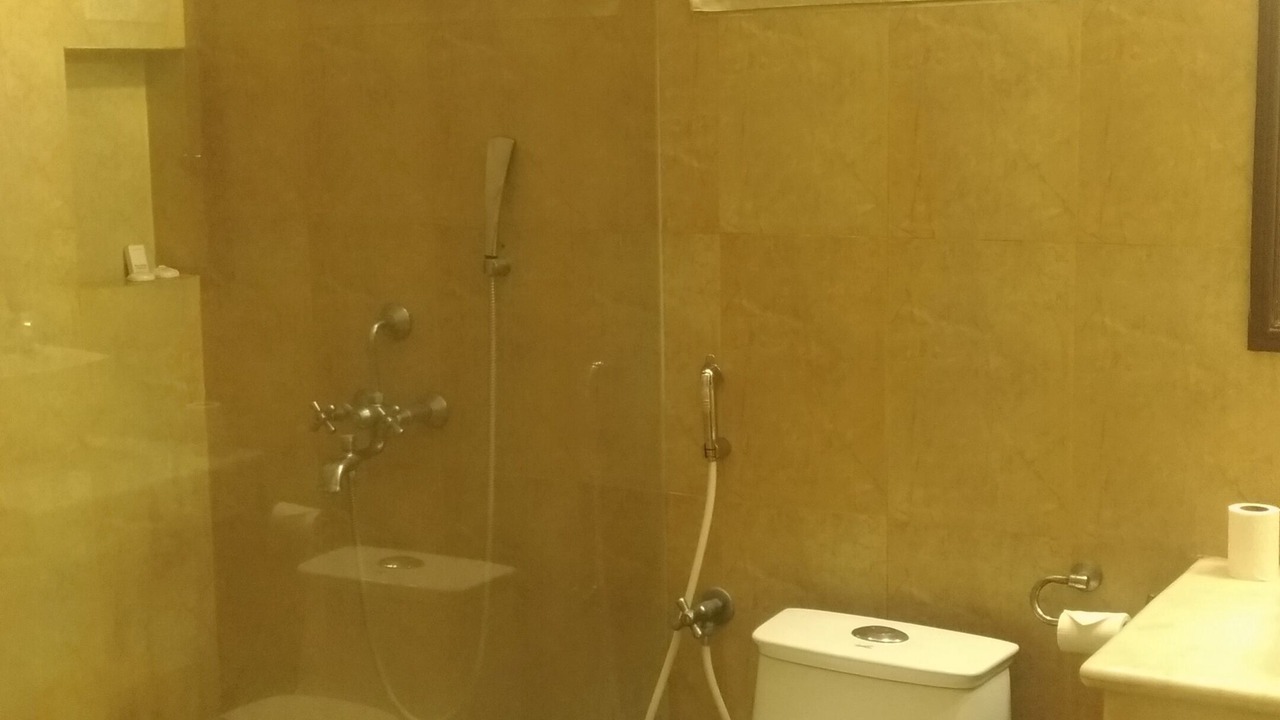 Photo of Bathroom in Teynampet