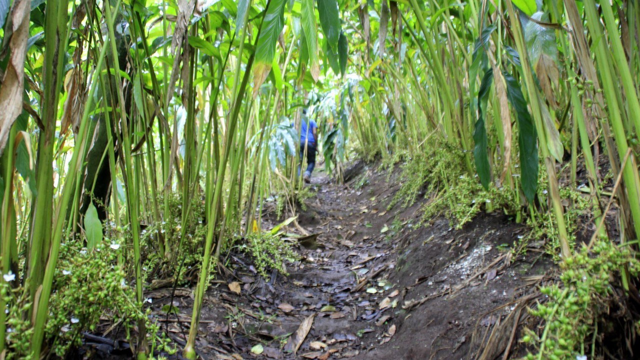 Photo of Outdoor in Chellarcovil