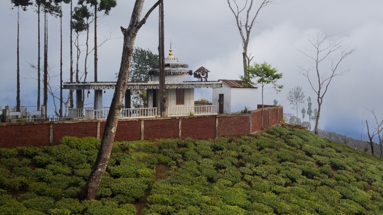 Photo of Others in Darjeeling