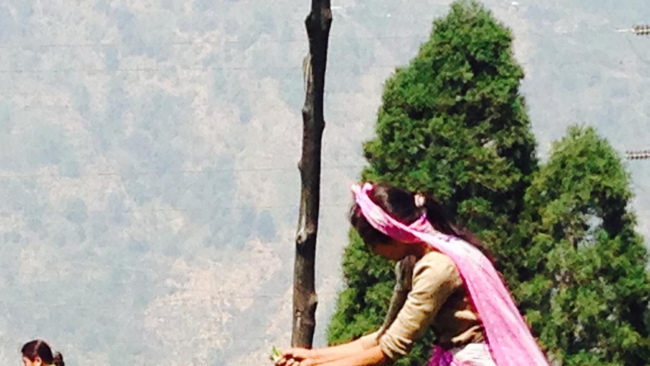 Photo of Others in Kurseong