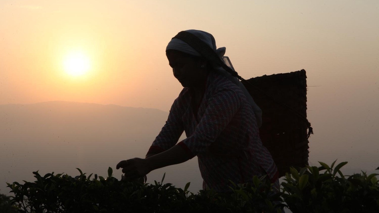 Photo of Others in Kurseong