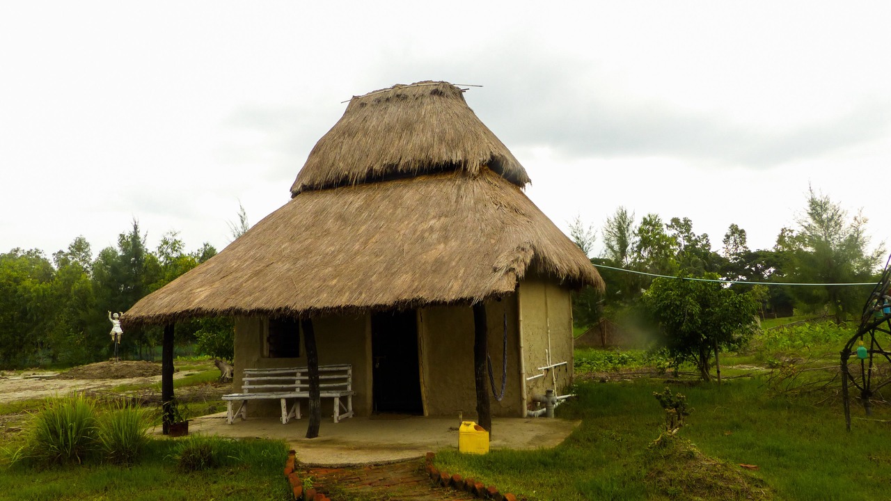 Photo of Outdoor in Basirhat