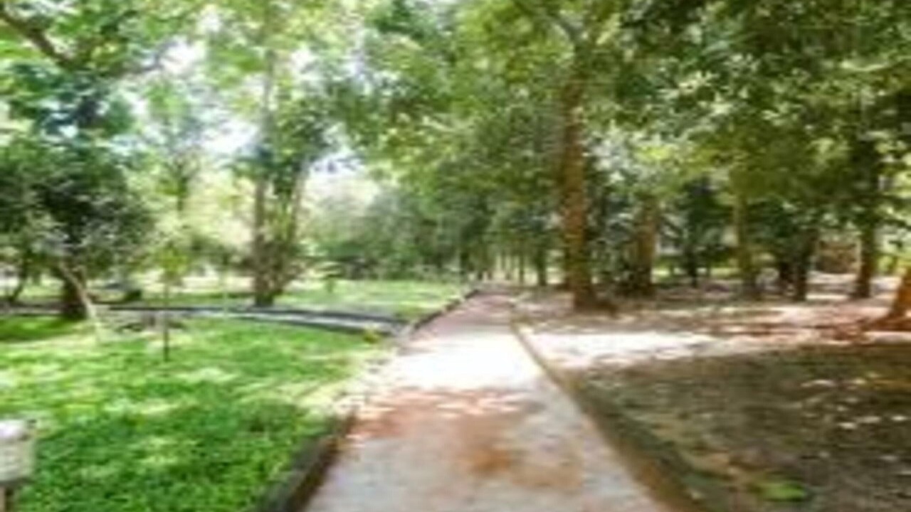 Photo of Outdoor in Kalapettai
