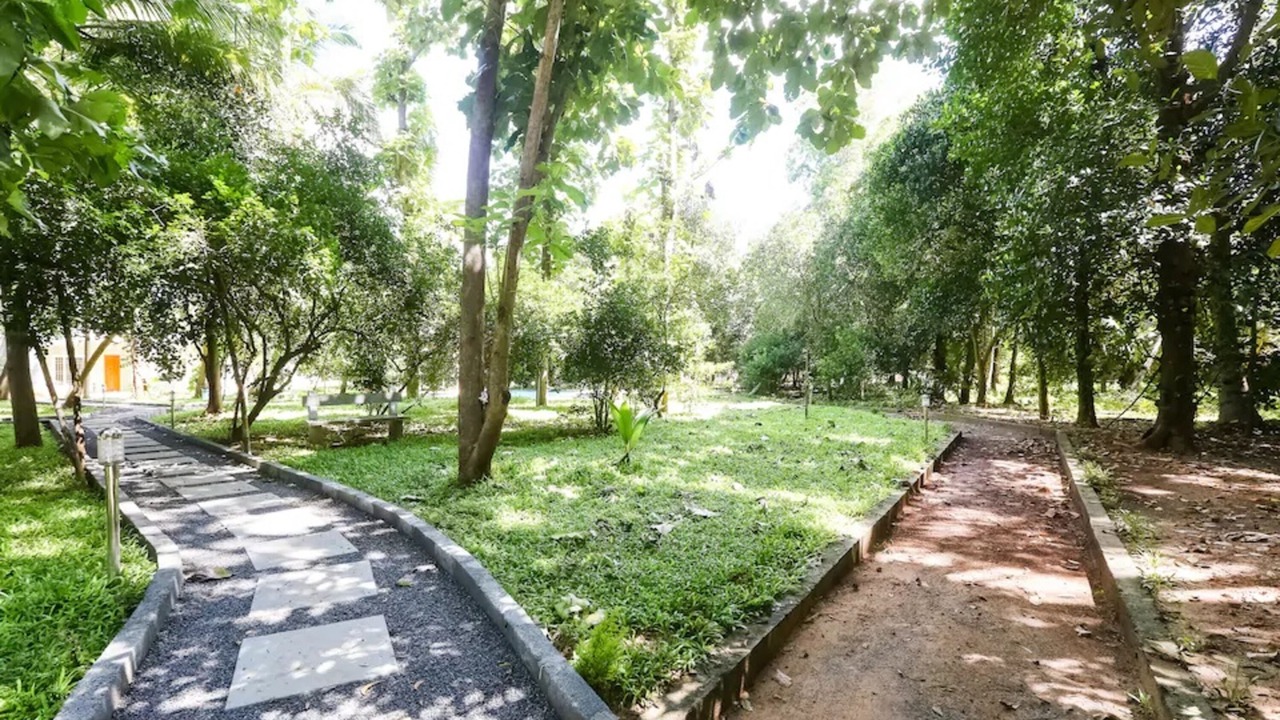 Photo of Outdoor in Kalapettai