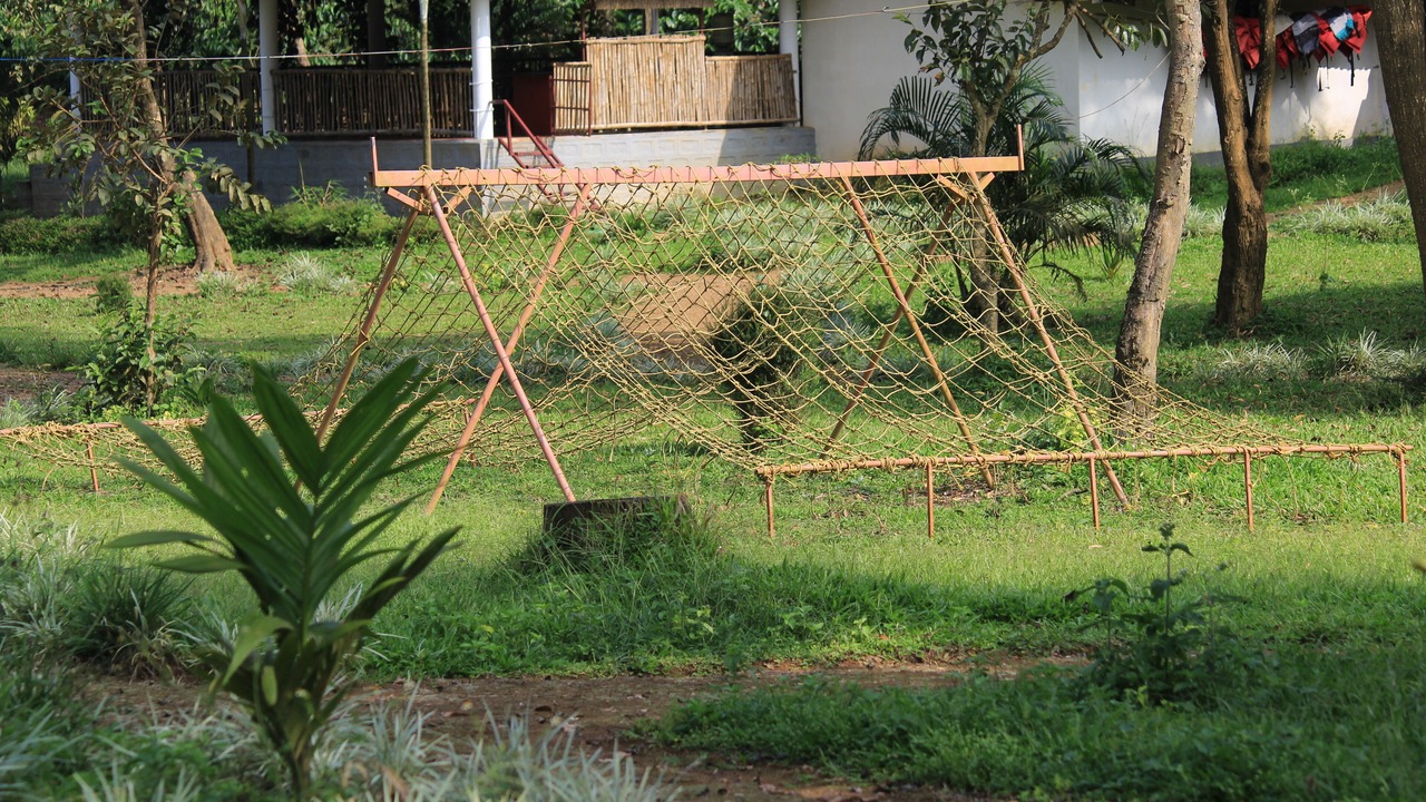 Photo of Outdoor in Kakabe
