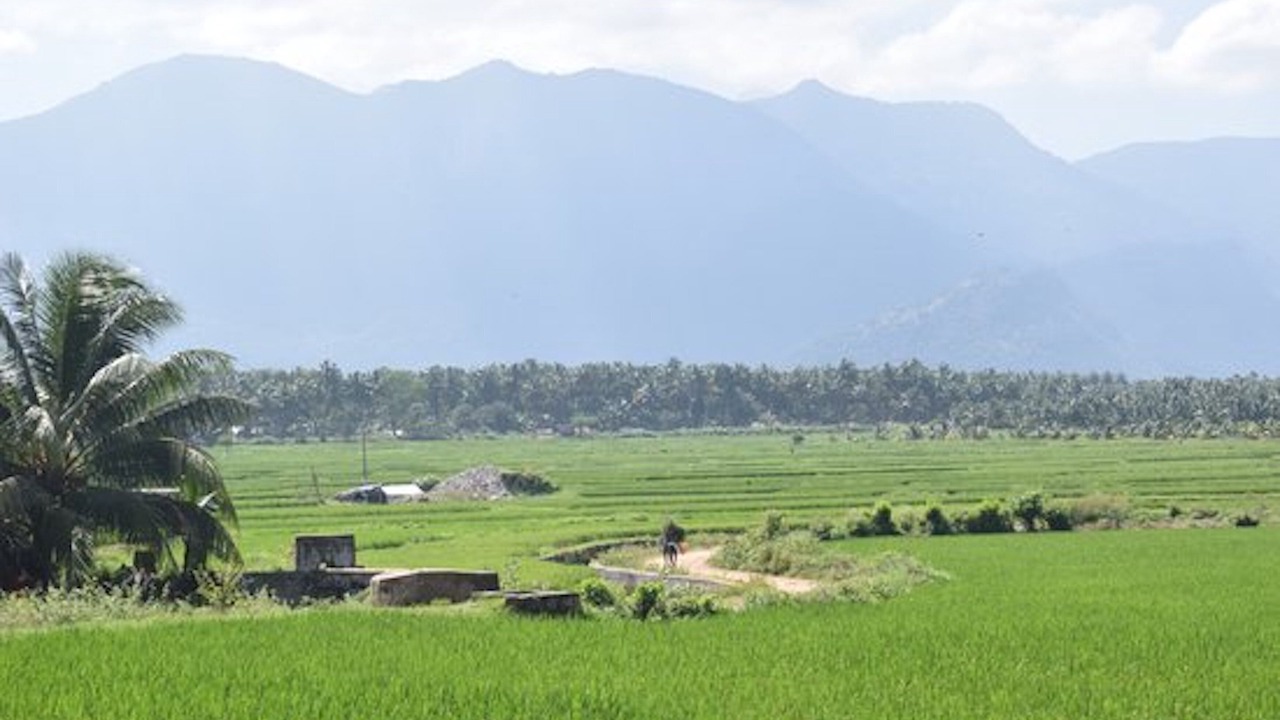 Photo of Others in Anaimalai